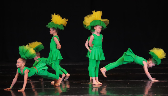 X Международный фестиваль-конкурс хореографии и циркового искусства «Dance – Class 2024» в декабре 2024
